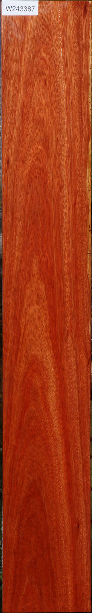 Bloodwood Lumber