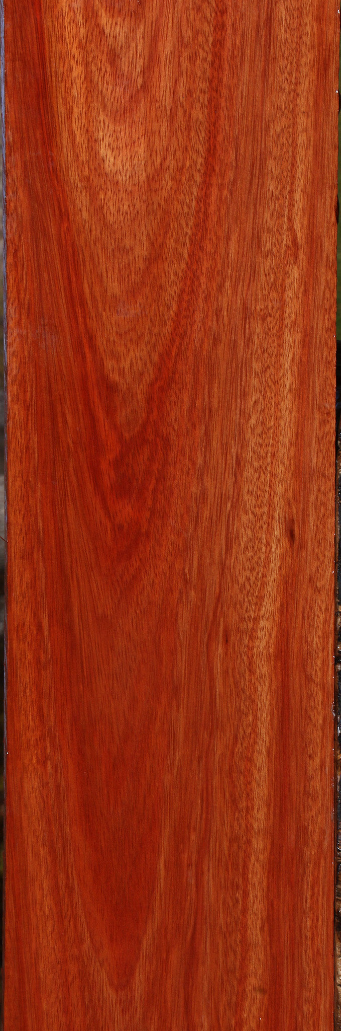 Bloodwood Lumber