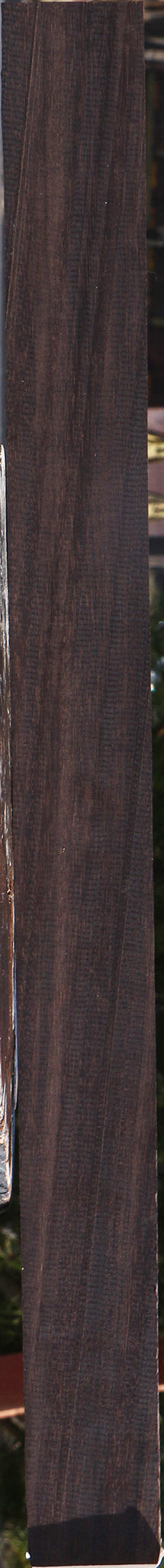 Brazilian Ebony Micro Lumber
