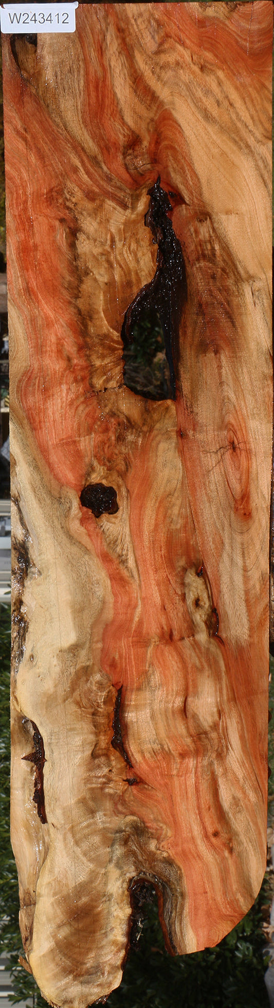 Extra Fancy Carob Live Edge Lumber