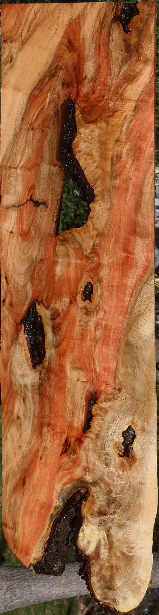 Extra Fancy Carob Live Edge Lumber