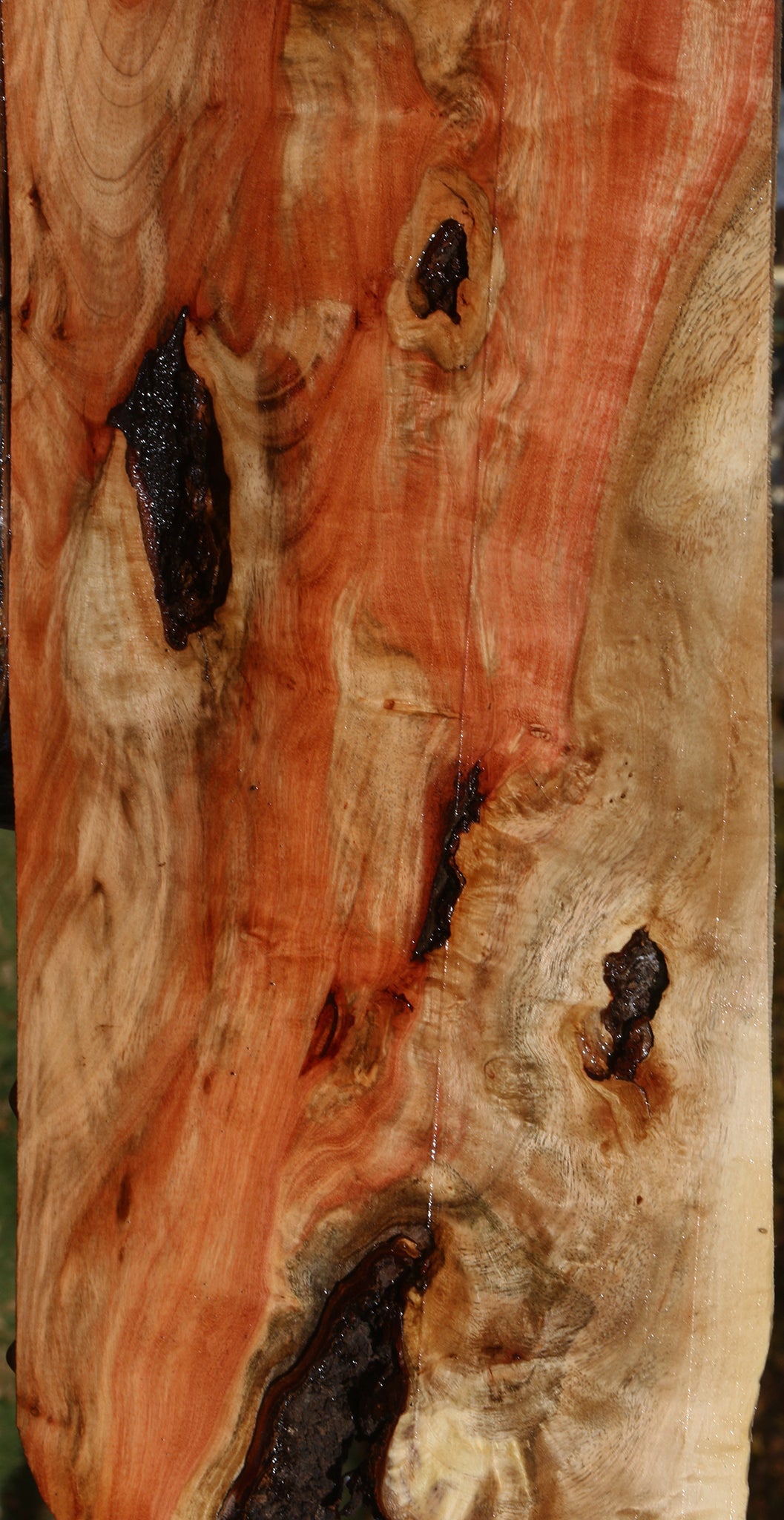 Extra Fancy Carob Live Edge Lumber