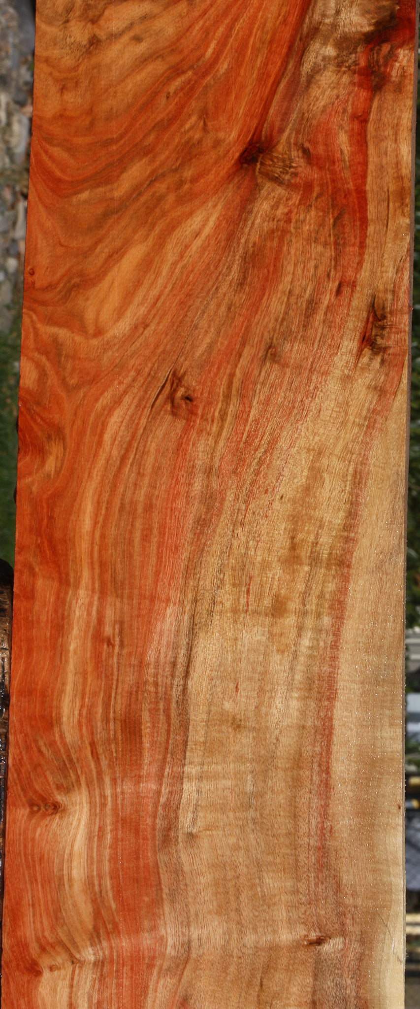 Extra Fancy Carob Lumber