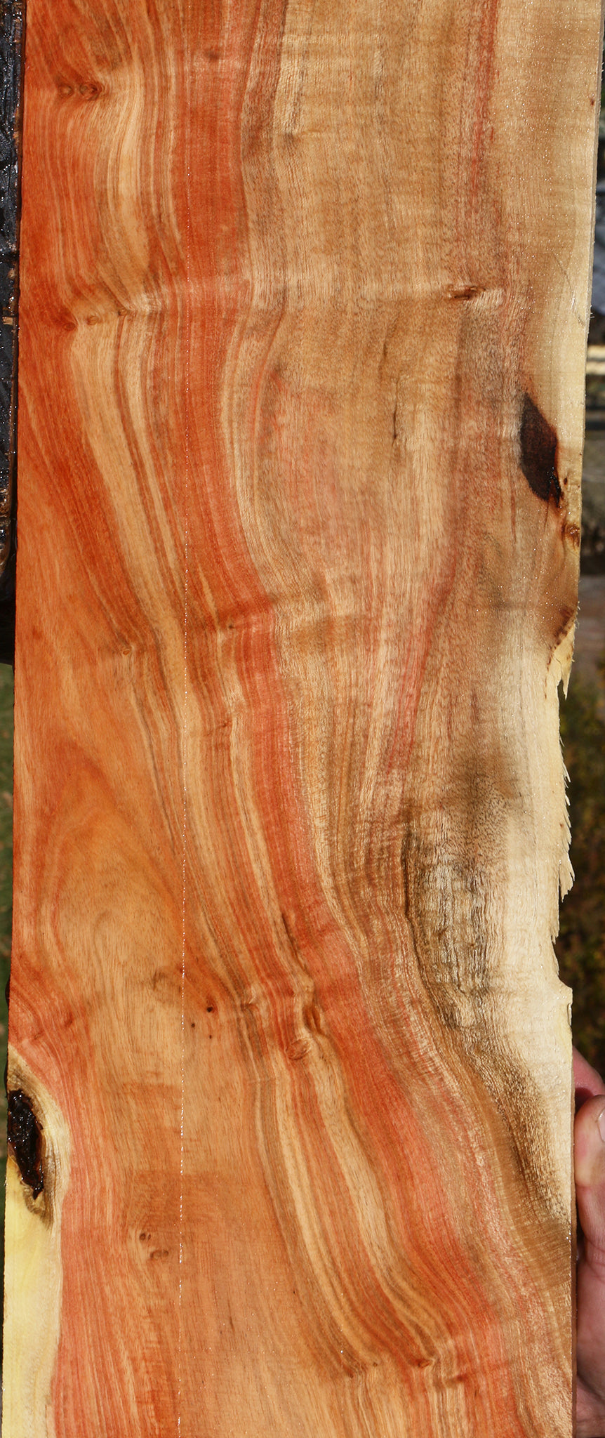 Extra Fancy Carob Lumber