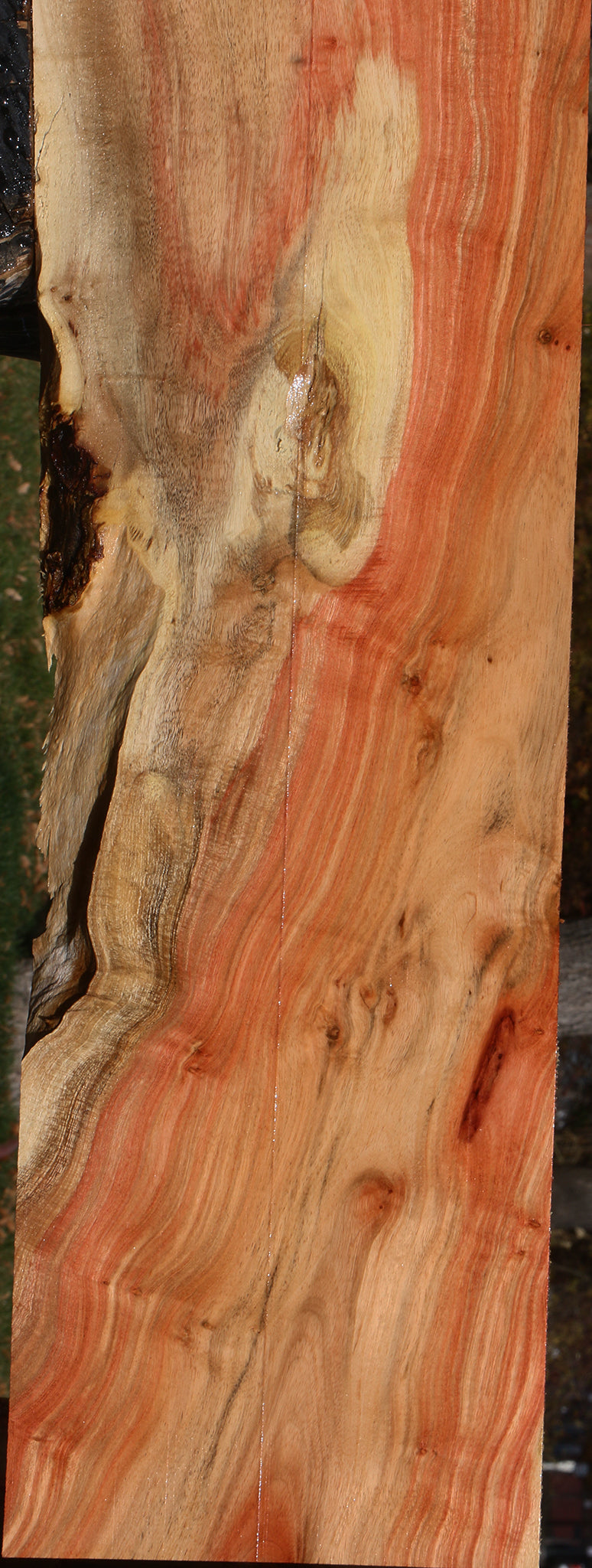 Extra Fancy Carob Lumber