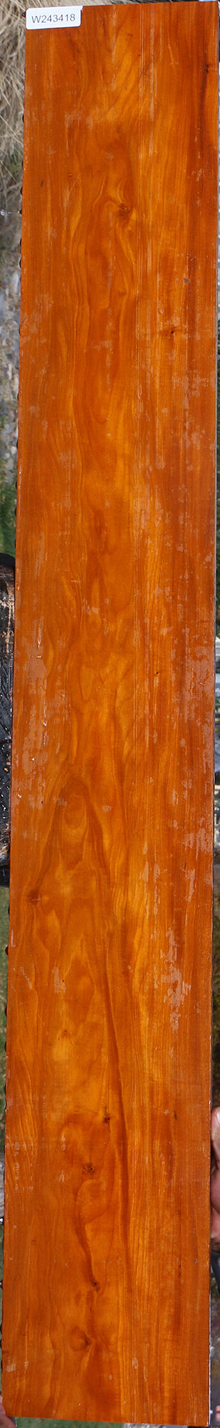 Figured Pernambuco Lumber