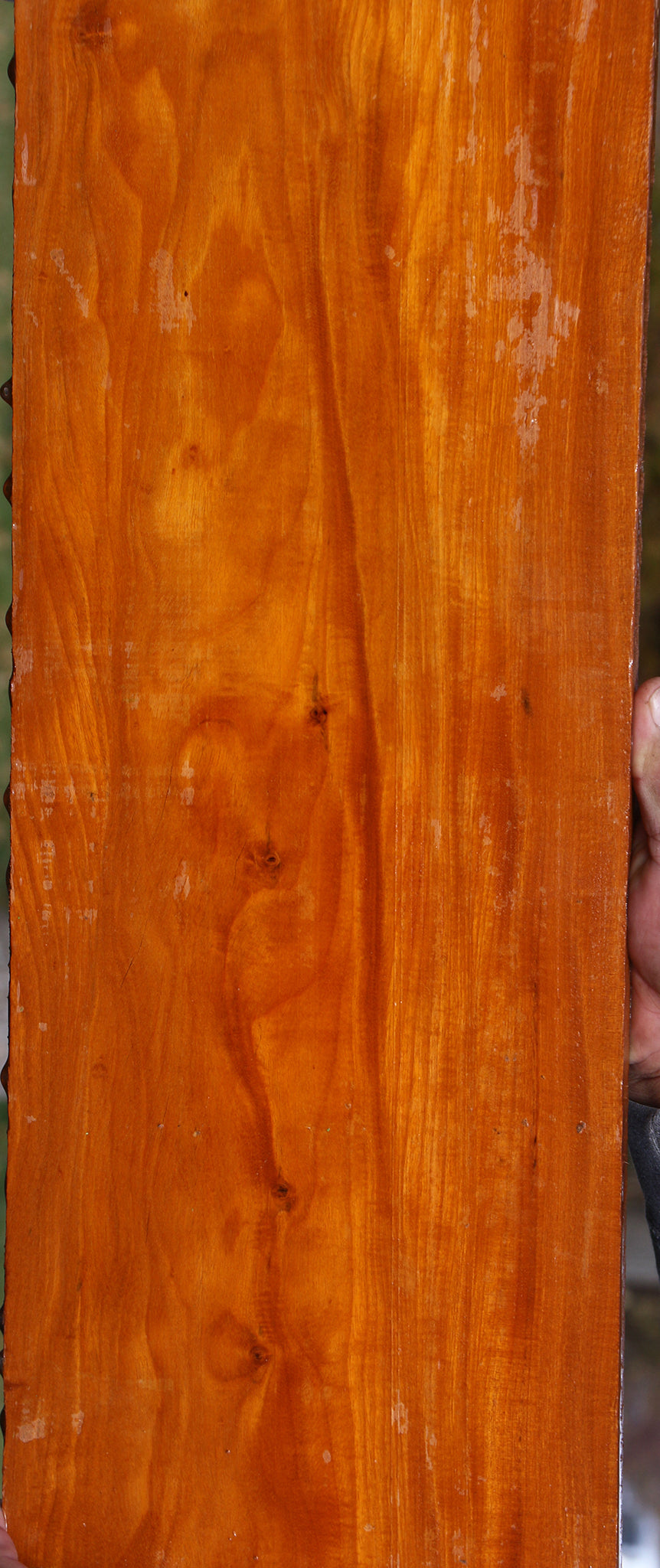 Figured Pernambuco Lumber