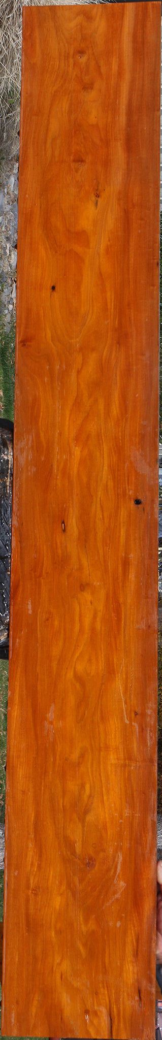 Figured Pernambuco Lumber