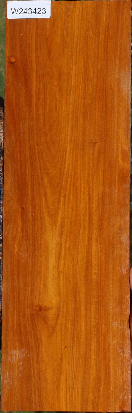 Pernambuco Micro Lumber