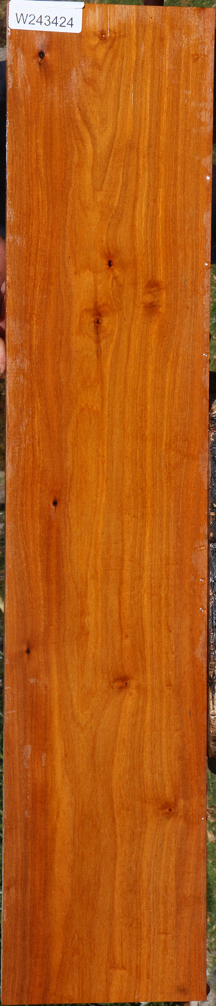 Pernambuco Micro Lumber