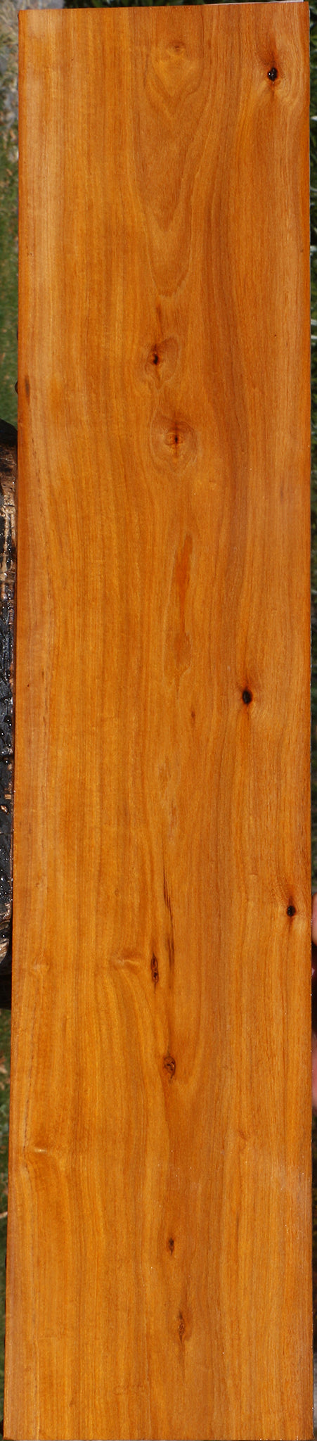 Pernambuco Micro Lumber