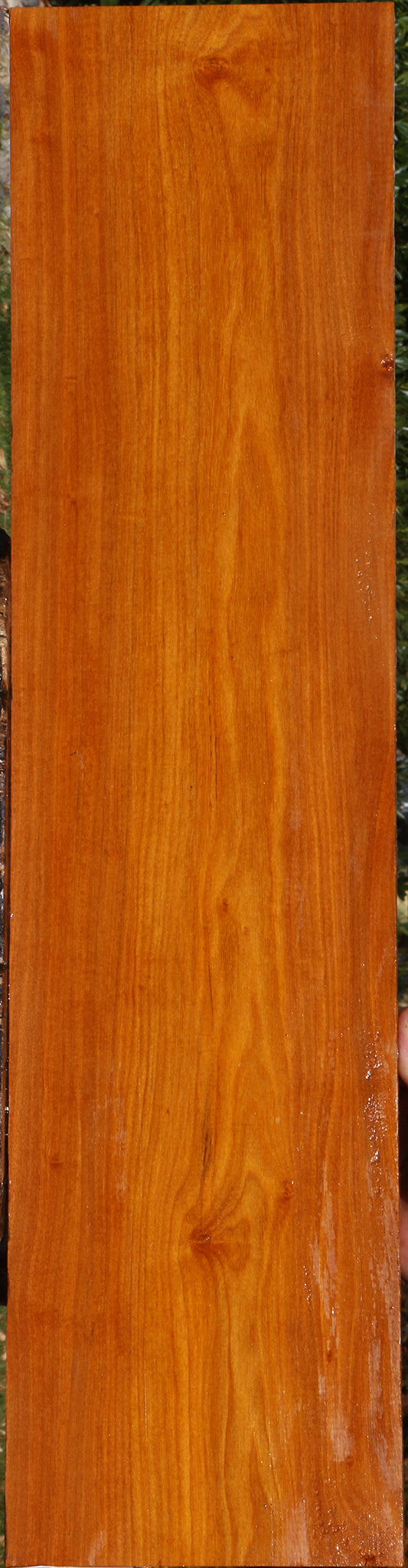 Pernambuco Micro Lumber