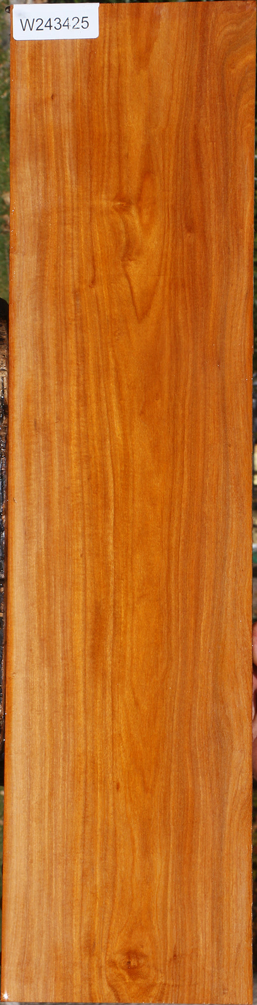 Pernambuco Micro Lumber