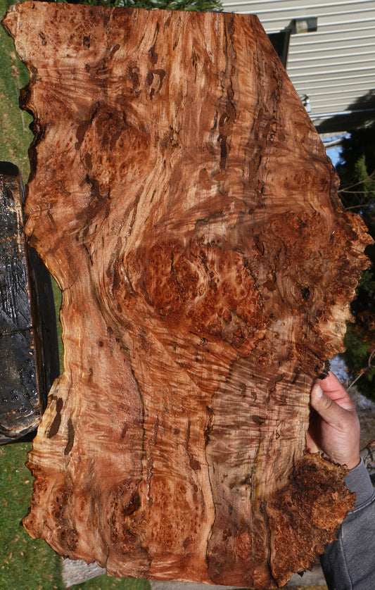 Maple Burl Live Edge Lumber