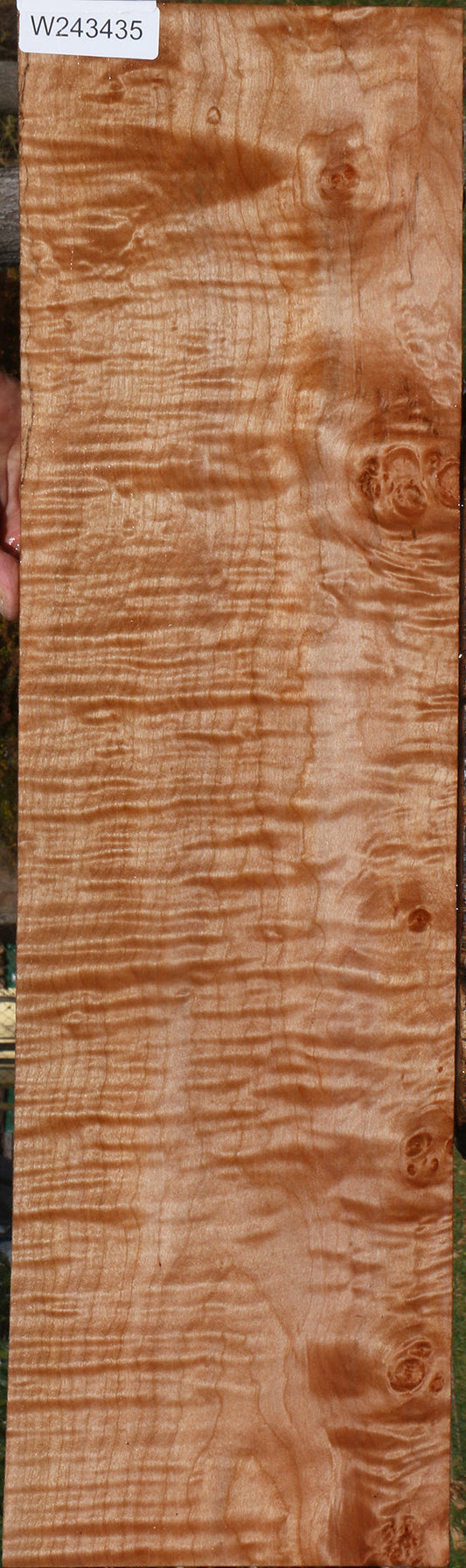 AAAA Maple Micro Lumber