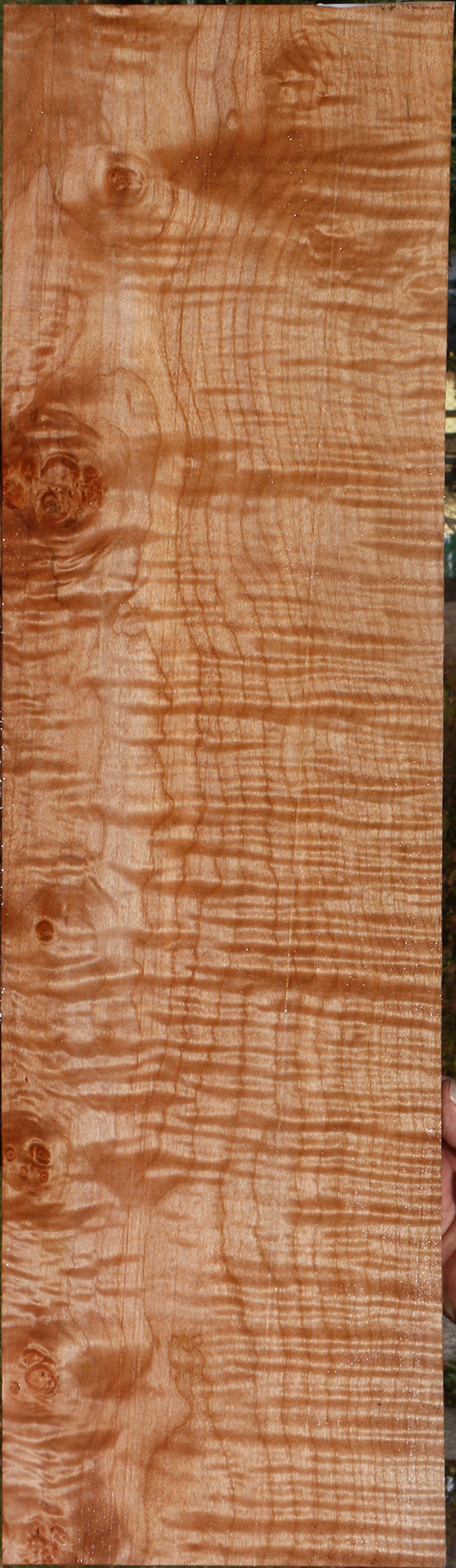 AAAA Maple Micro Lumber