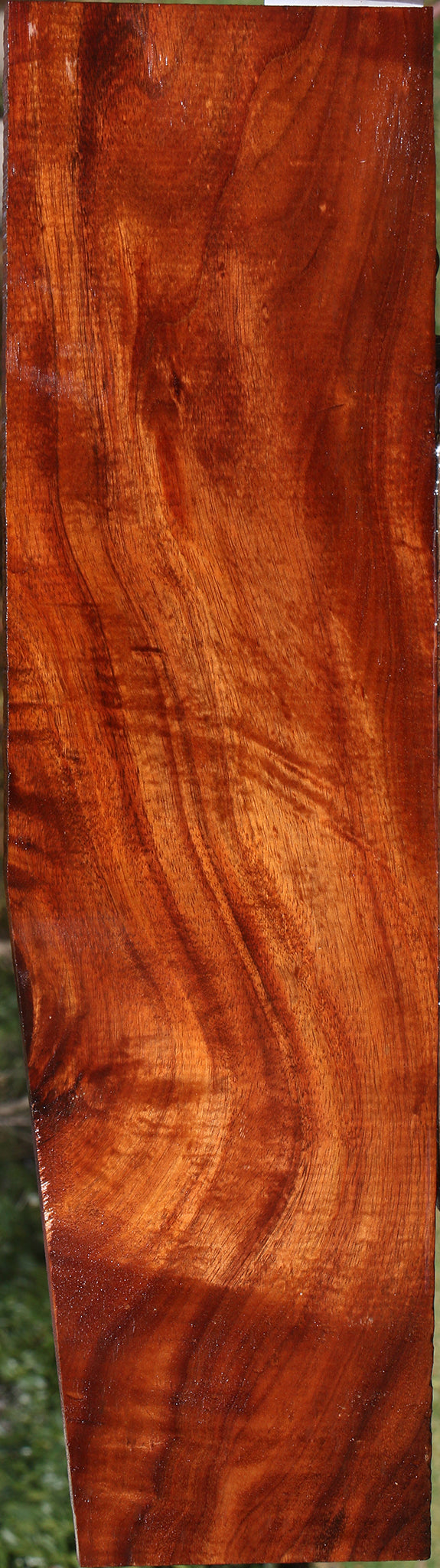 Curly Hawaiian Koa Micro Lumber