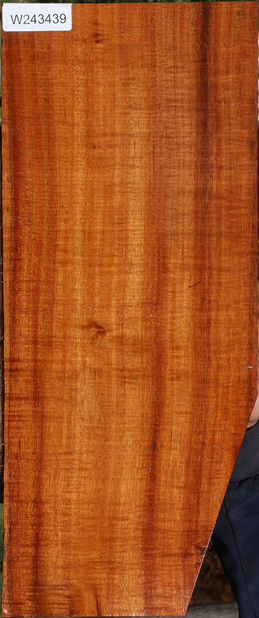 AAAAA Hawaiian Koa Instrument Lumber