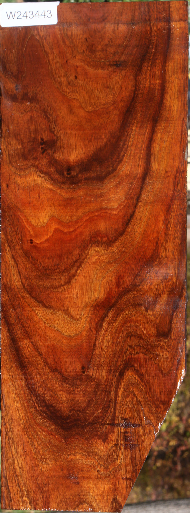 Hawaiian Koa Micro Instrument Lumber