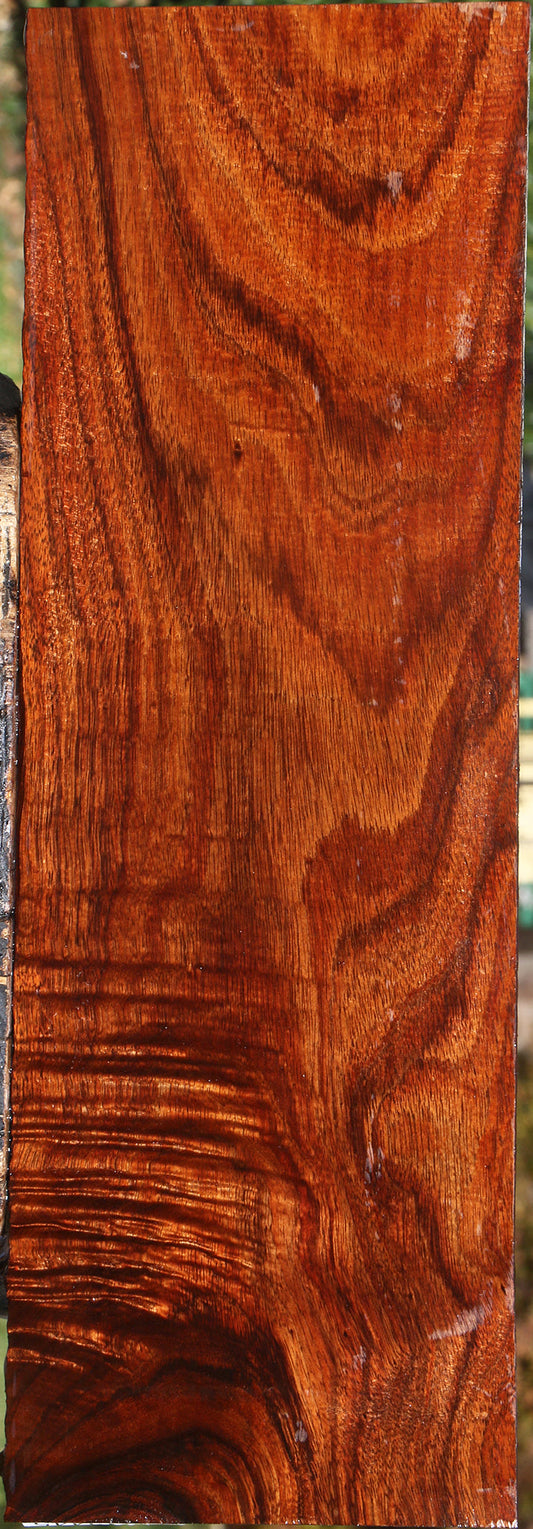 Figured Hawaiian Koa Drop Top Electric Guitar Billet