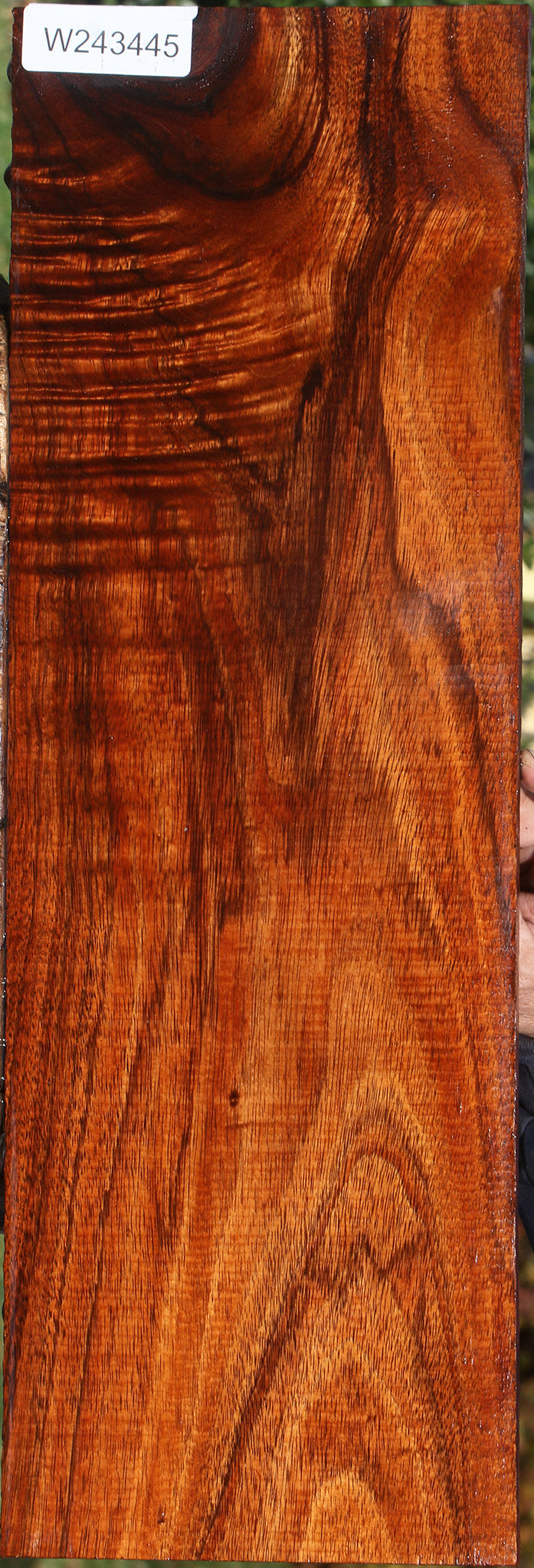 Figured Hawaiian Koa Drop Top Electric Guitar Billet