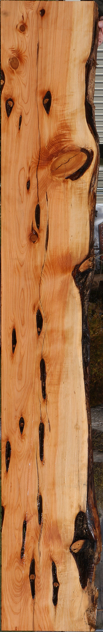 Juniper Live Edge Lumber (Free Shipping Excluded)