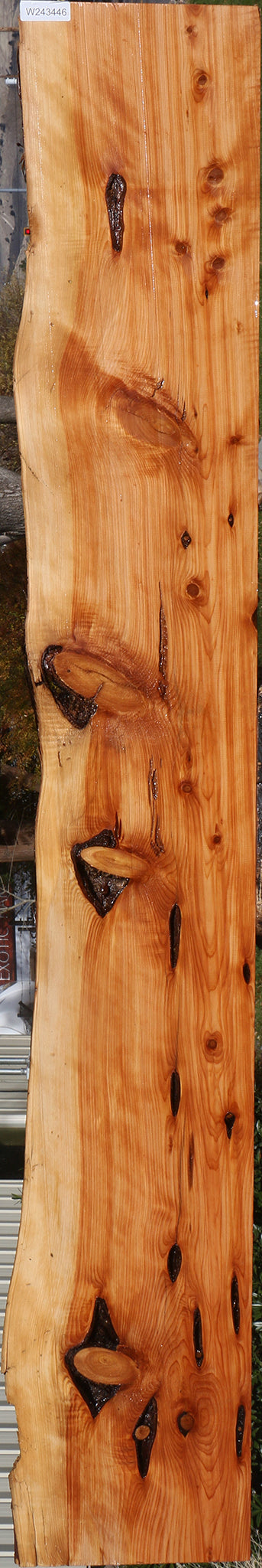 Juniper Live Edge Lumber (Free Shipping Excluded)