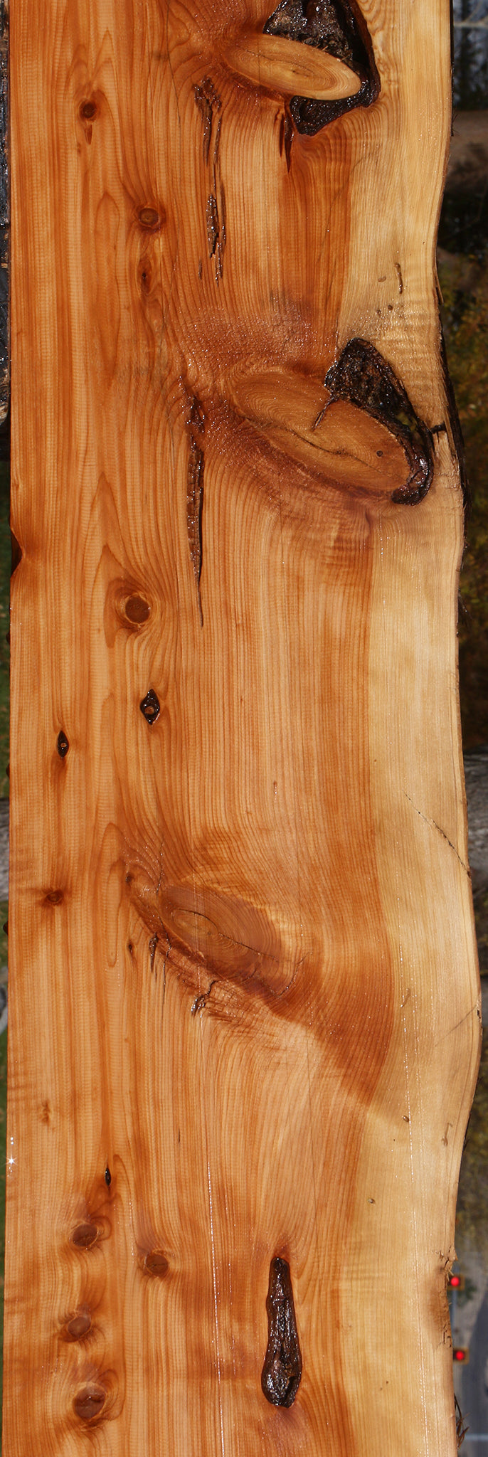 Juniper Live Edge Lumber (Free Shipping Excluded)