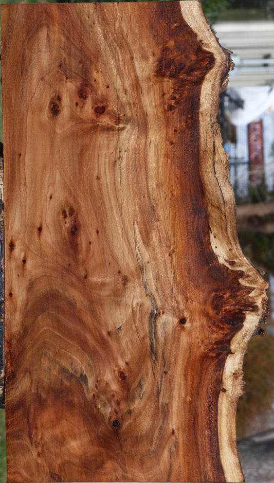 Extra Fancy California Cottonwood Burl Live Edge Lumber
