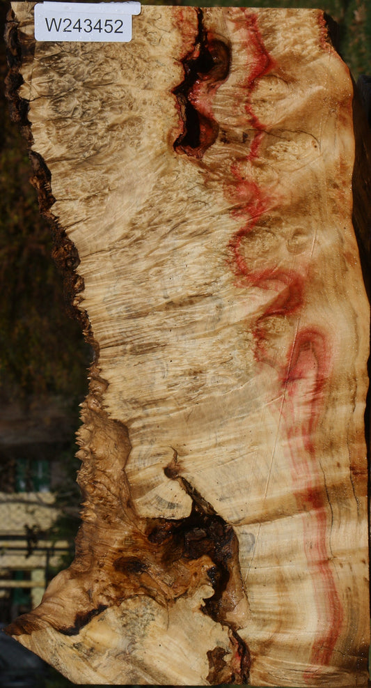 Extra Fancy Box Elder Burl Live Edge Lumber