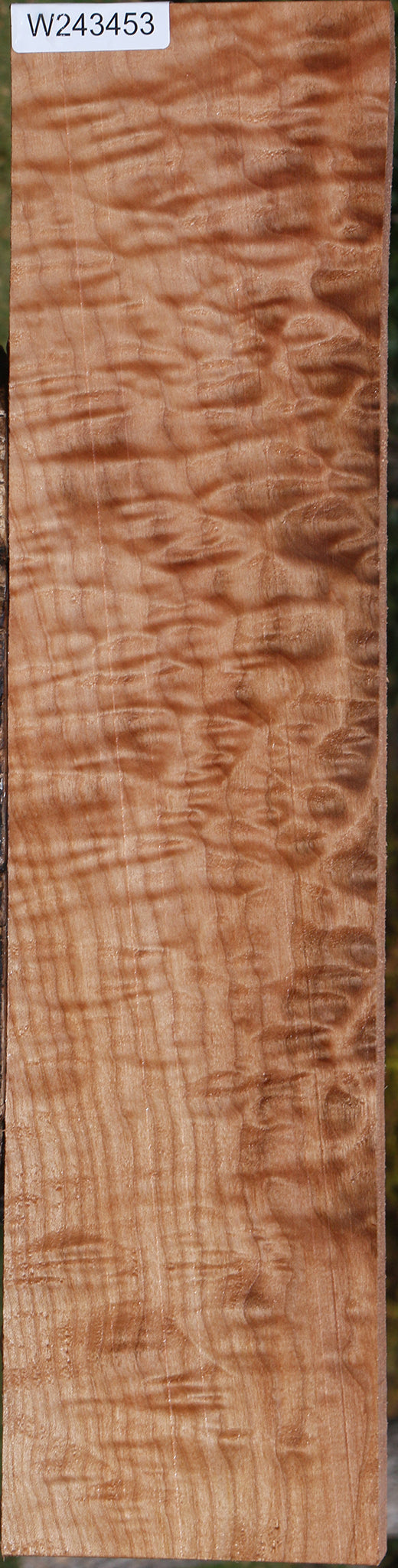 AAAA Quilted Maple Lumber