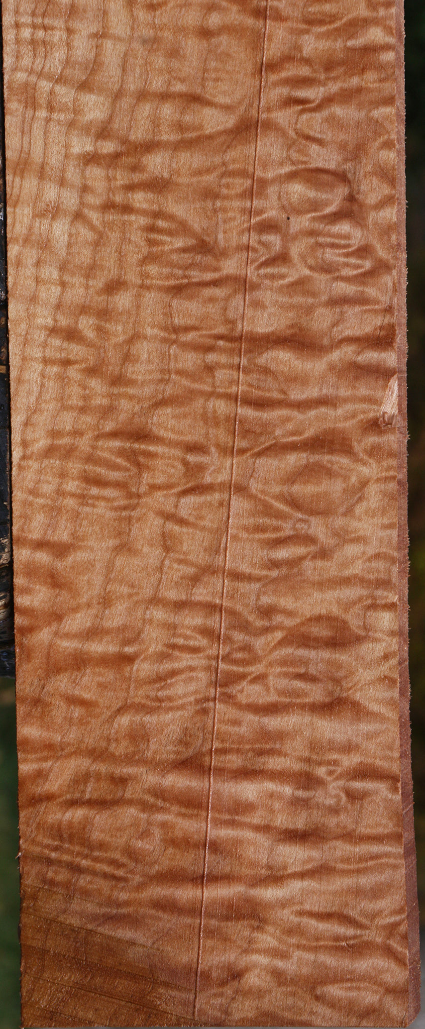 AAAA Quilted Maple Lumber