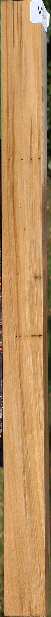 Castello Boxwood Turning Blank