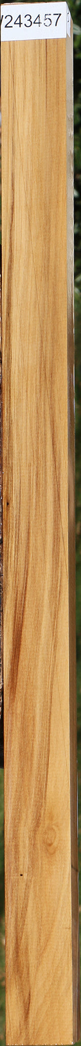 Castello Boxwood Turning Blank