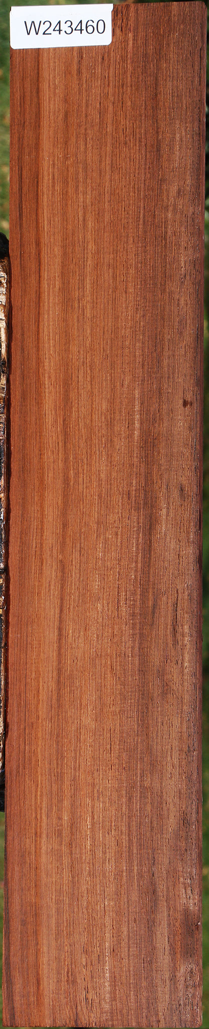 Madagascar Rosewood Micro Lumber
