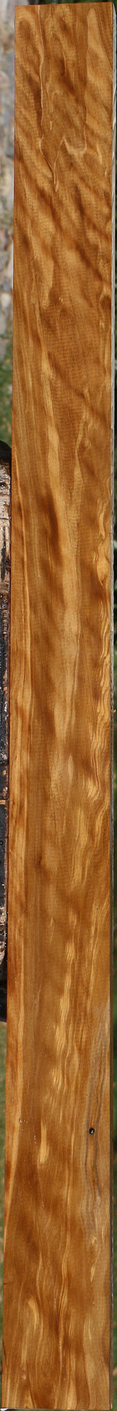 Figured Castello Boxwood Lumber