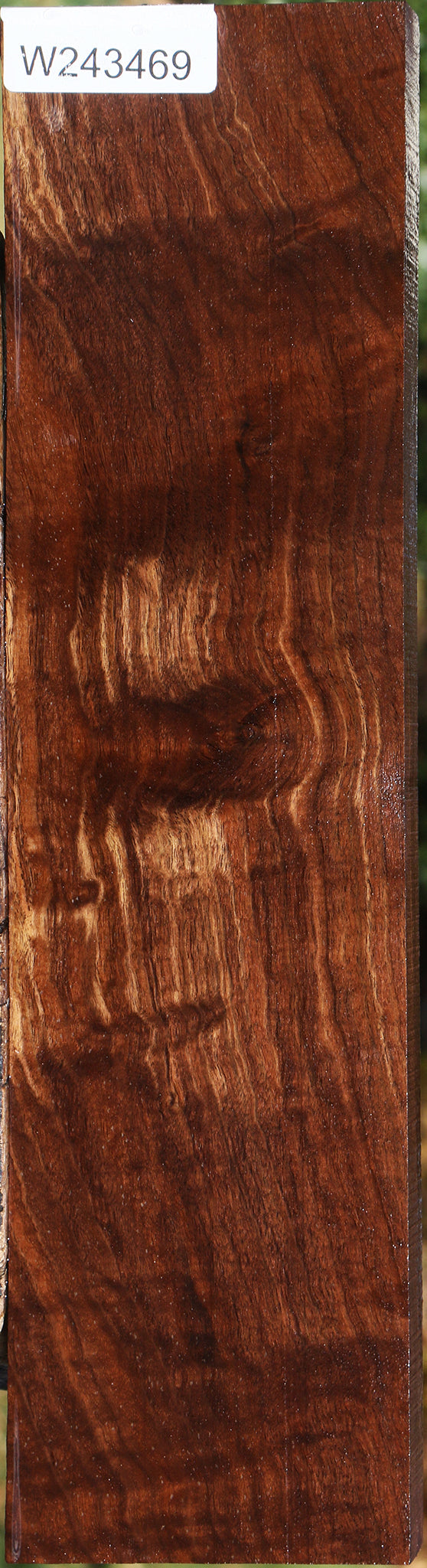 Extra Fancy Claro Walnut Lumber – Cook Woods