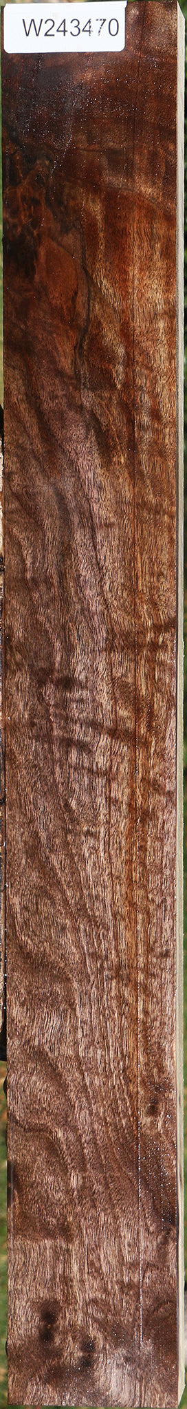 Extra Fancy Claro Walnut Lumber