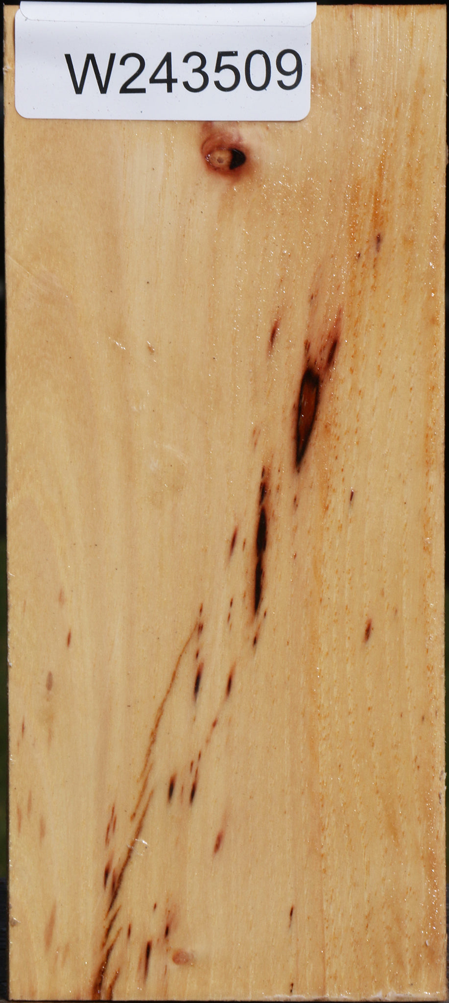 Pecan Turning Square