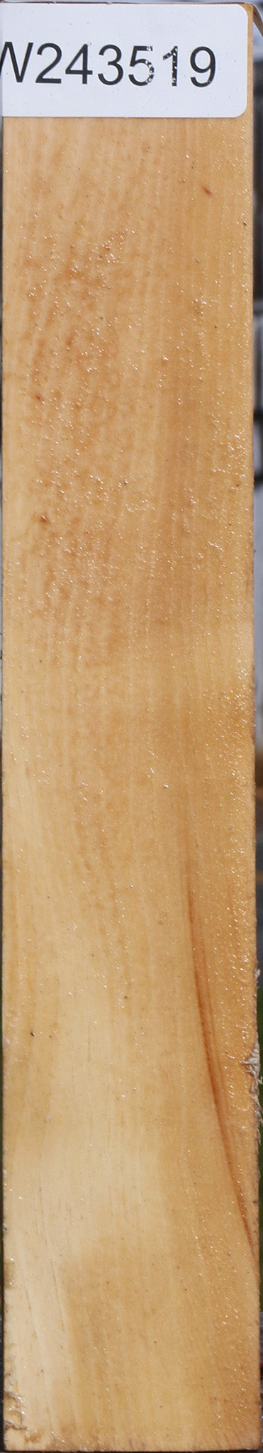 Pecan Turning Square
