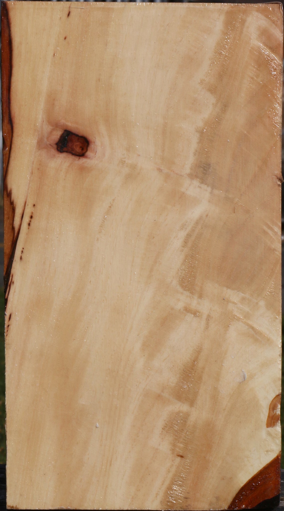 Figured Pecan Vessel Blank