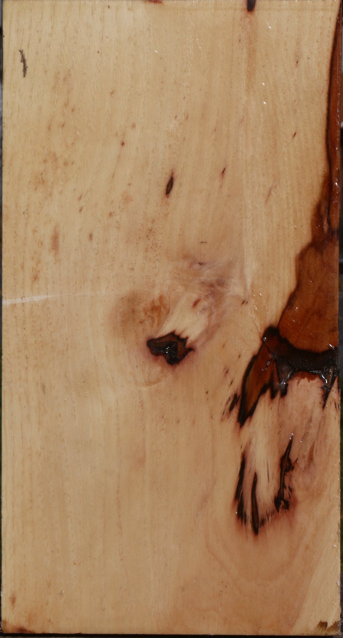 Figured Pecan Vessel Blank