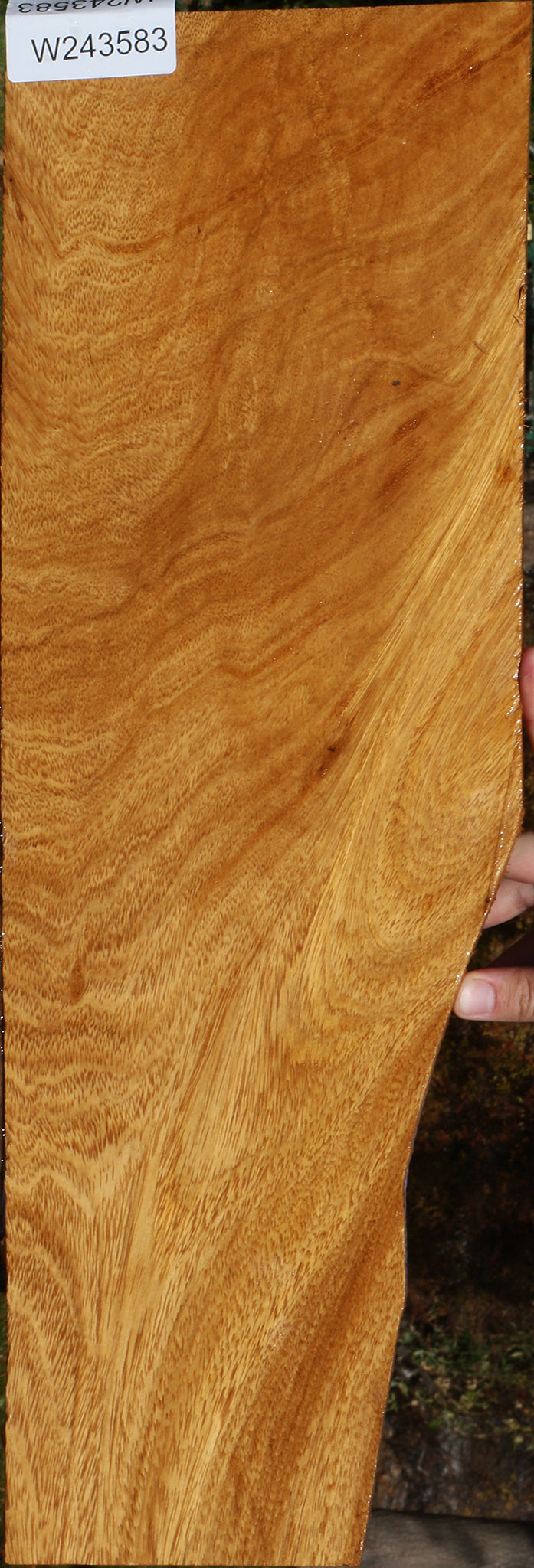 Extra Fancy Cerejeira Micro Lumber