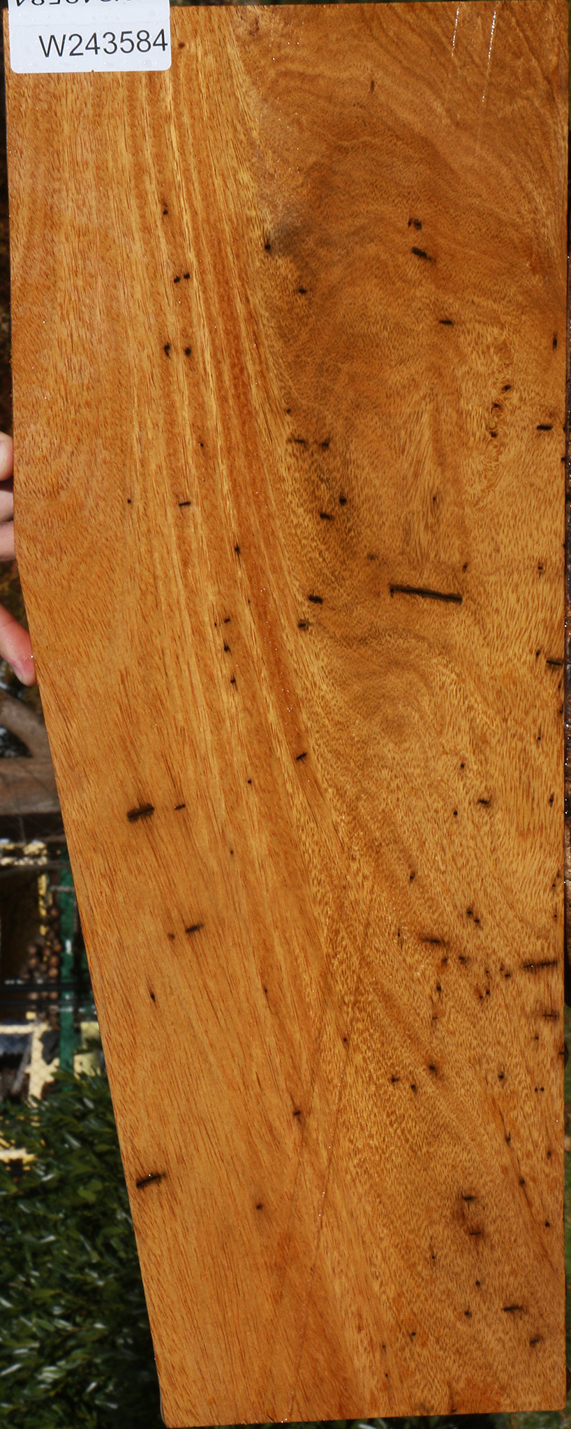 Figured Cerejeira Micro Lumber