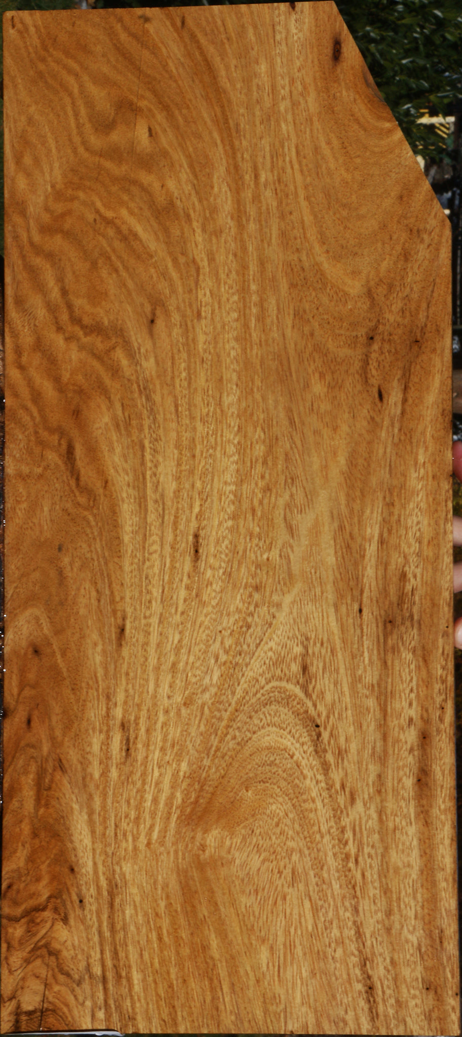 Figured Cerejeira Micro Lumber