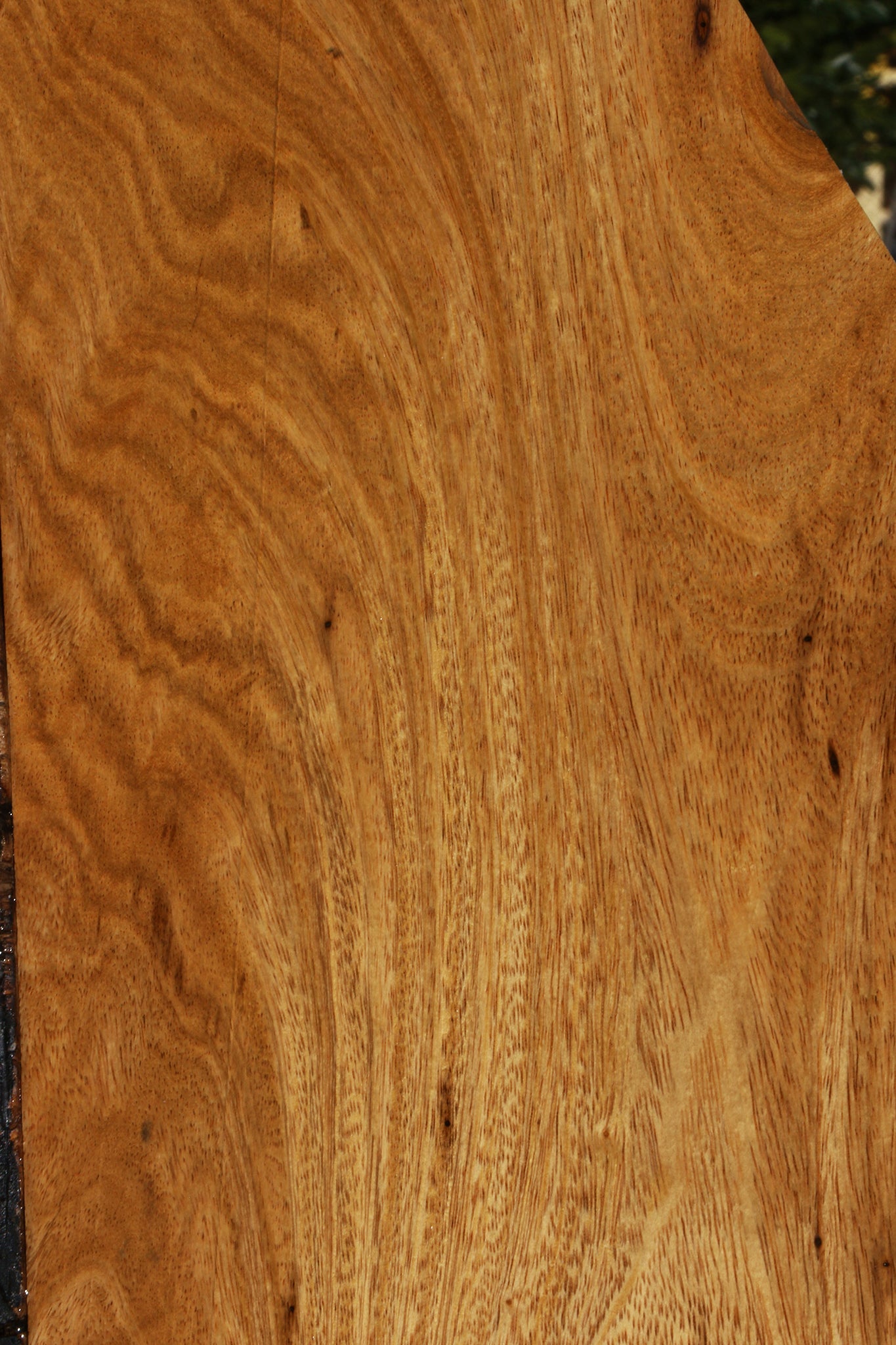 Figured Cerejeira Micro Lumber