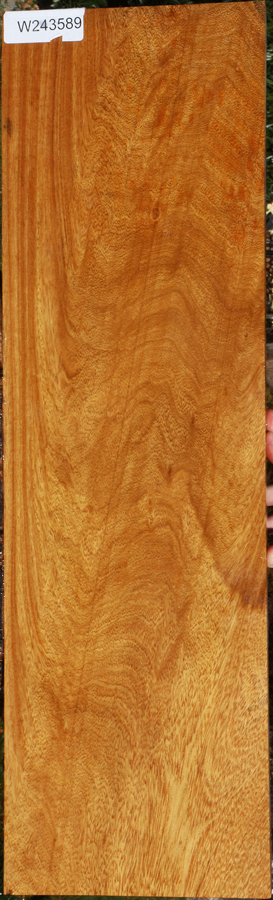 Extra Fancy Cerejeira Instrument Lumber