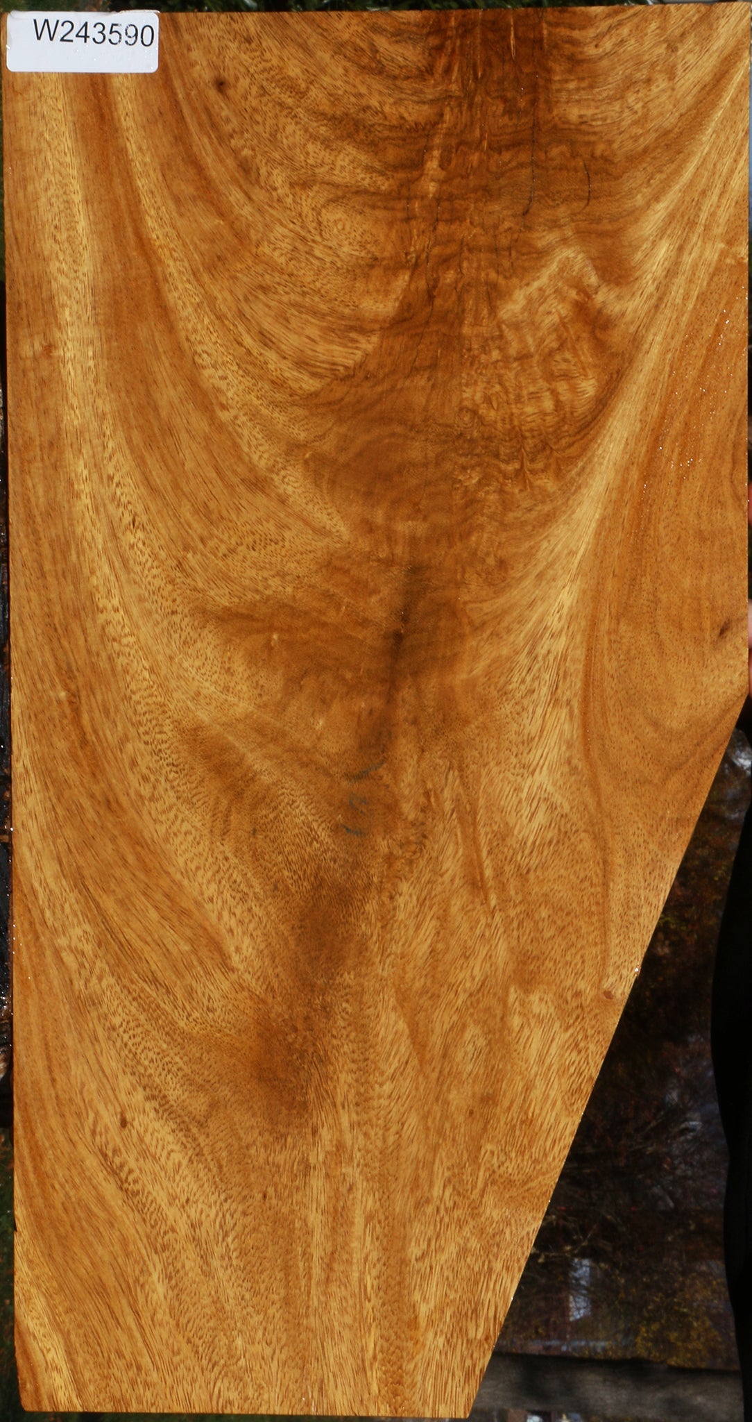 Extra Fancy Crotchwood Cerejeira Instrument Micro Lumber