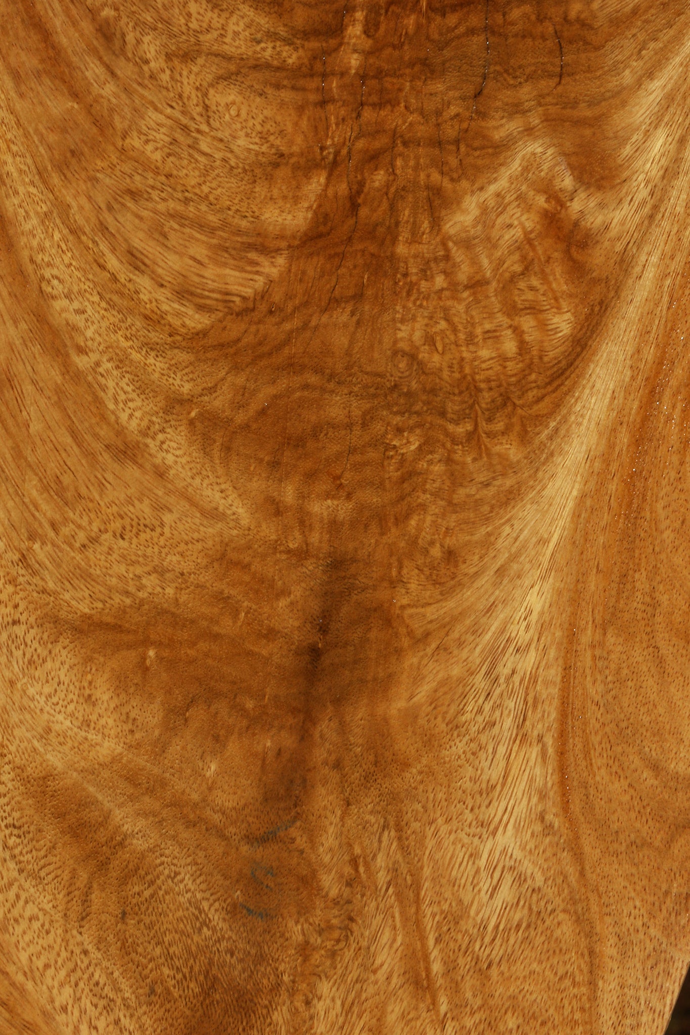 Extra Fancy Crotchwood Cerejeira Instrument Micro Lumber