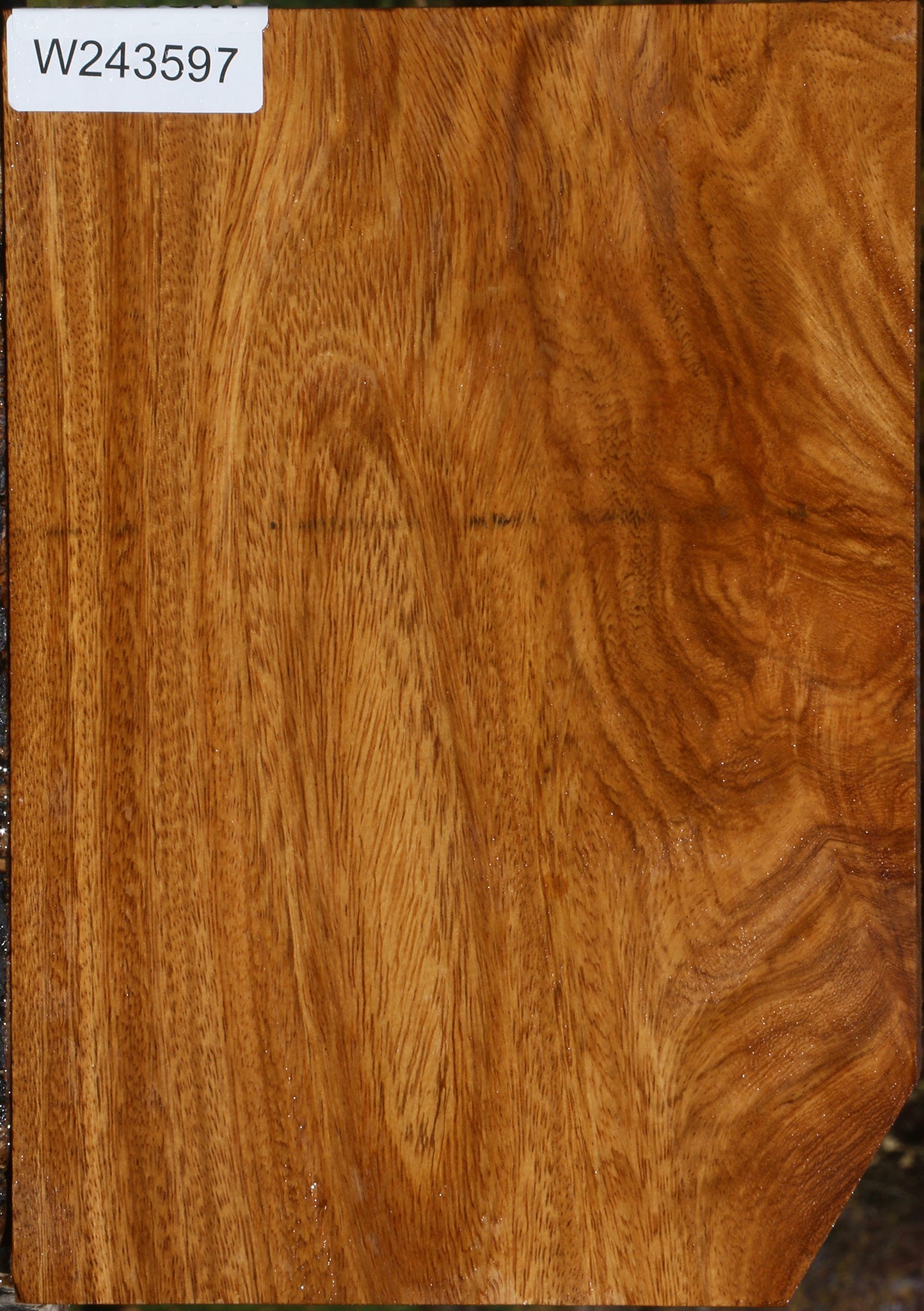 Figured Cerejeira Lumber